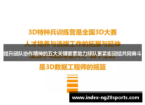 提升团队协作精神的五大关键要素助力球队更紧密团结共同奋斗